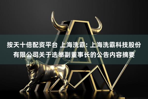 按天十倍配资平台 上海洗霸: 上海洗霸科技股份有限公司关于选举副董事长的公告内容摘要