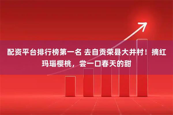 配资平台排行榜第一名 去自贡荣县大井村！摘红玛瑙樱桃，尝一口春天的甜